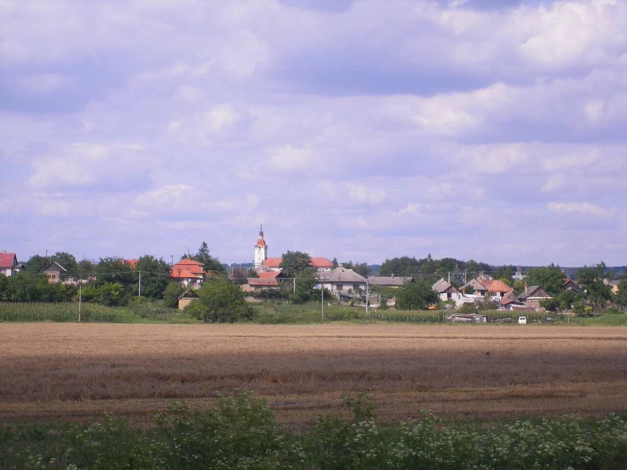 webfejlesztő Muzsla - WebUniter - Slovakia