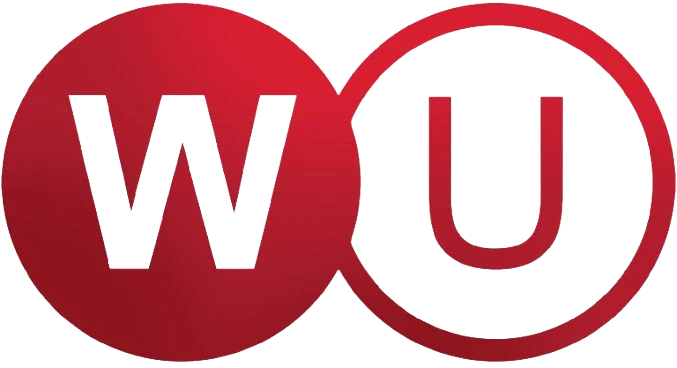 webfejlesztő cég